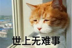 后疫情下网创人如何应对“躺平”和“内卷”