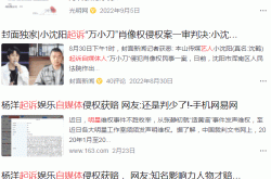明星批量起诉自媒体版权侵权：维权公司商机暴增