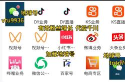 抖音有效粉丝 抖音播放量点赞评论 直播间人气 千川代投