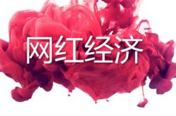 我是如何靠网红挣到20W的