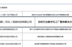 新核云入选国家级数字化转型典型案例库