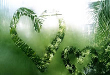 厮杀中的崛起！抖音猛踩电商油门，流量变现再上台阶！